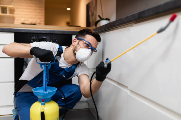 Best Ant Control Services  in Long Lake, IL