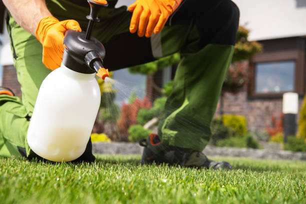 Best Emergency Pest Control  in Long Lake, IL