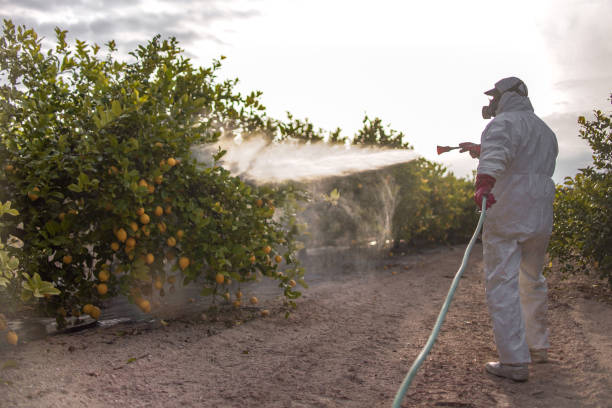 Best Mosquito Control Services  in Long Lake, IL