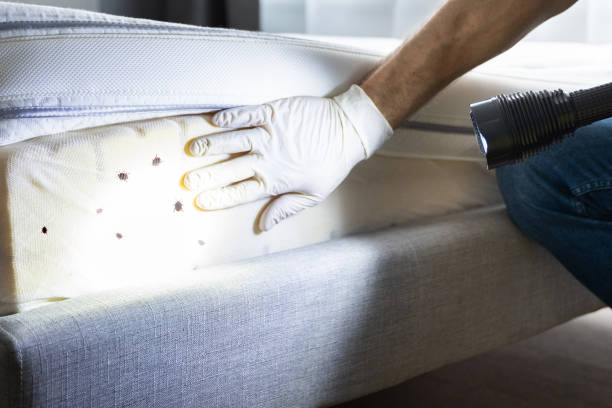 Pest Control for Restaurants in Long Lake, IL