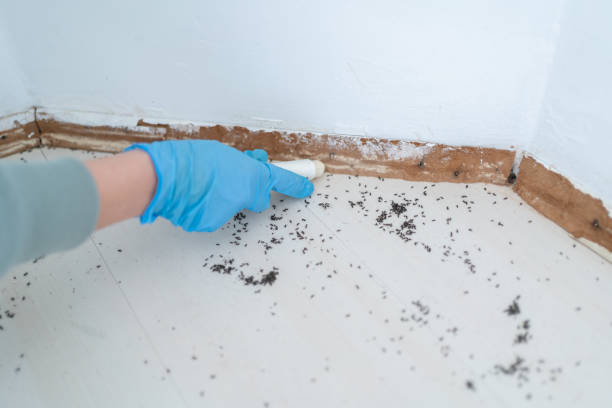 Best Pest Removal Services  in Long Lake, IL